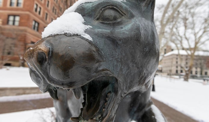 Panther statue covered in snow.