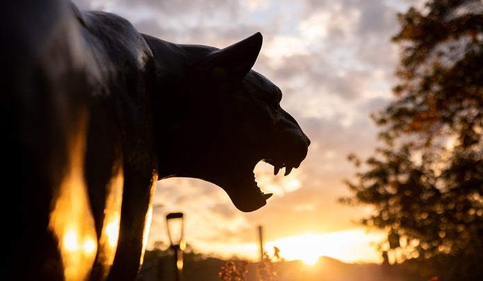The Pitt Panther is silhouetted by sunlight.