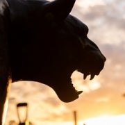 The Pitt Panther is silhouetted against the sky.